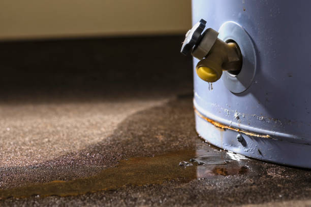 Best Emergency water damage restoration  in Kilauea, HI