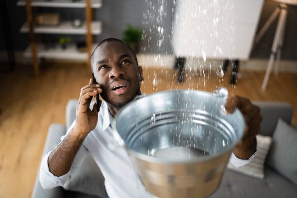  Kilauea, HI Water damage restoration Pros