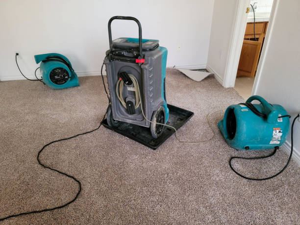 Best Carpet water damage restoration  in Kilauea, HI