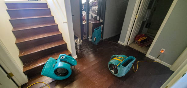 Best Flood restoration services  in Kilauea, HI