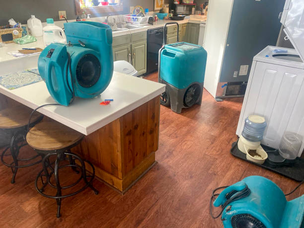 Best Basement water damage restoration  in Kilauea, HI