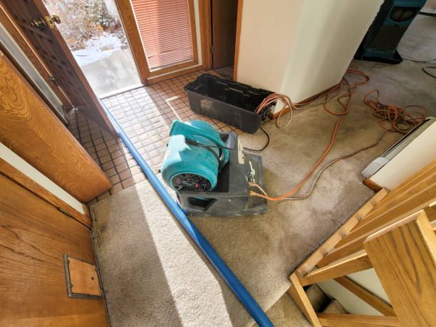 Best Professional water damage repair  in Kilauea, HI