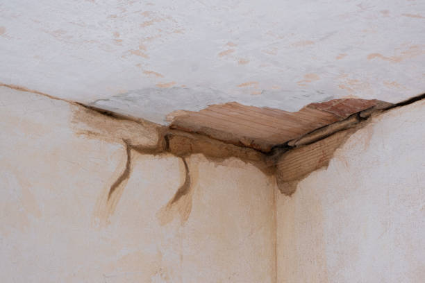 Best Fire Damage Restoration  in Kilauea, HI