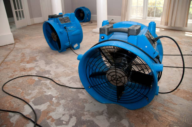 Professional Water damage restoration in HI