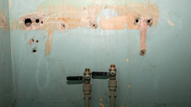 Best 24-hour water damage restoration  in Kilauea, HI