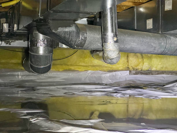 Best Residential water damage restoration  in Kilauea, HI