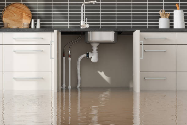 Best Flood damage cleanup  in Kilauea, HI