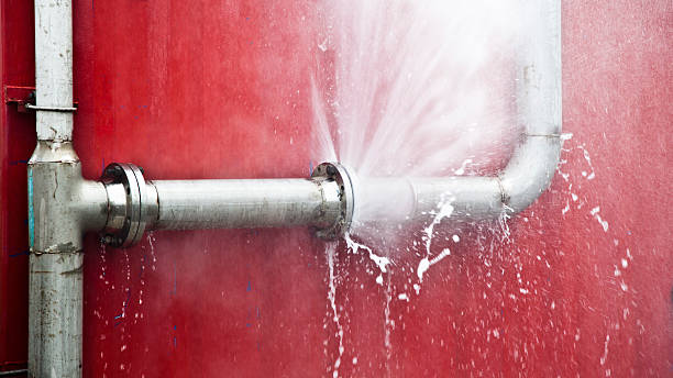 Best Professional water damage repair  in Kilauea, HI