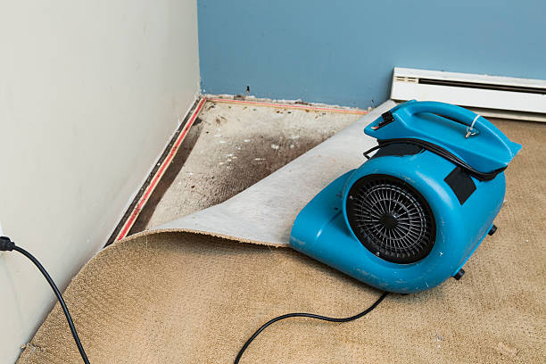 Best Water damage restoration near me  in Kilauea, HI