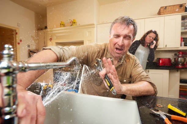 Best Water damage cleanup near me  in Kilauea, HI